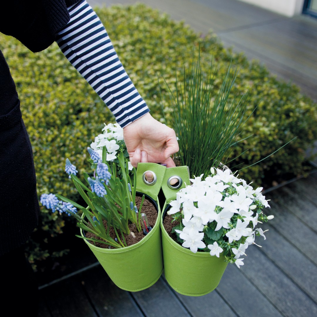 BloomingWalls's tweet photo. Spring vibes.🌿🌸

#bloomingwalls #thegreenpot #colors #lovely  #flowers #plants #greenthumb #greenfingers #decorations  #gardening #urbanjungle #greenfingers #greenthumb  #inspiration #secretsofgreen #plantslover #smallgardennoproblem #plantaholics https://t.co/Ji5V67ehAl