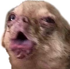 y’all pray for your friends with allergies we’re not doing well currently-