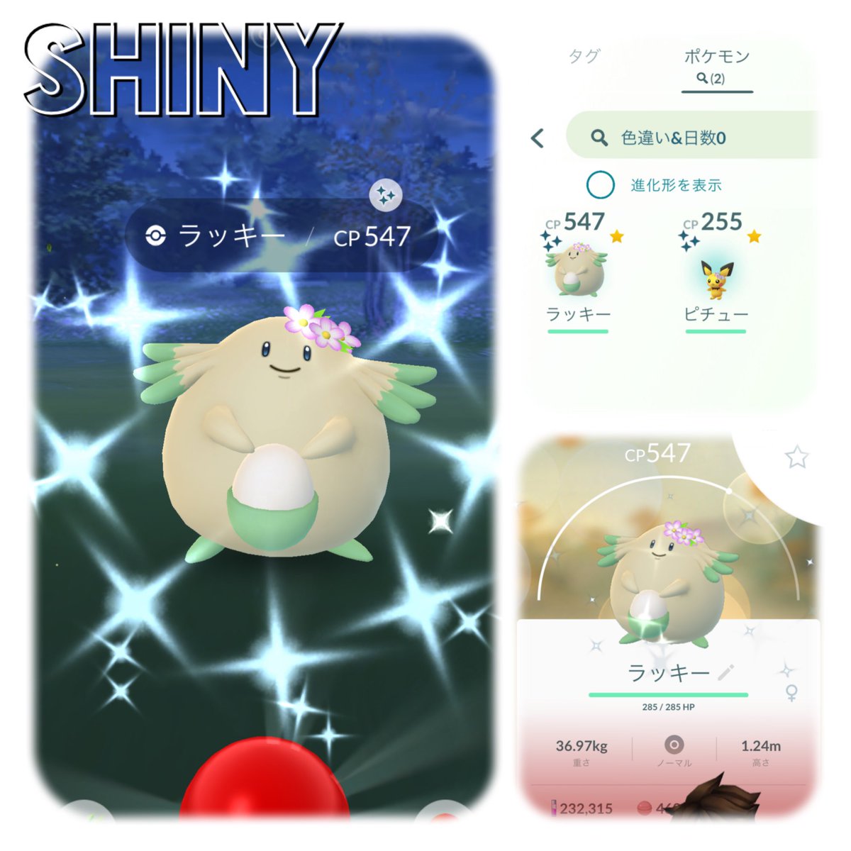 Pyonaaaan ポケモン なんと 花飾りラッキーが 光ってくれた ハピナス進化用にもう1匹欲しい のは欲張りかなぁ っ W c 2 卵割り約1個で 色違い2体目は花飾りピチュー 嬉しいけど 狙いの色違いは 花飾りイーブイなのよお Pyonaaaan ポケモン なんと 花飾りラッキーが 光ってくれた ハピナス進化用にもう1匹欲しい のは欲張りかなぁ っ W c 2 卵割り約1個で 色違い2体目は花飾りピチュー 嬉しいけど 狙いの色違いは 花飾りイーブイなのよお