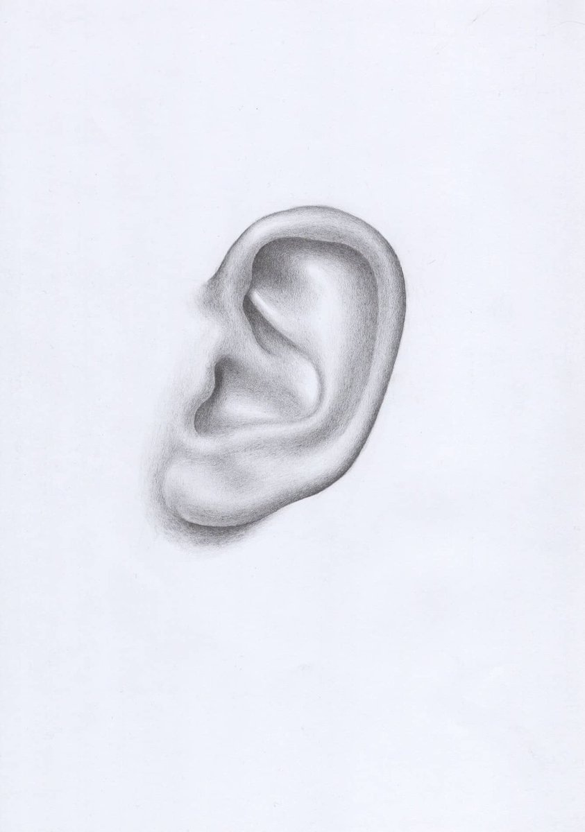 SketchDrawing's tweet photo. As we continue adding in the halftones with the drawing pencils, 4B or smaller, this is the step where we must define each part of the ear.

Read the full article: How To Draw an Ear
▸ https://t.co/k3GULBtBuE https://t.co/cLwII5MnbV
