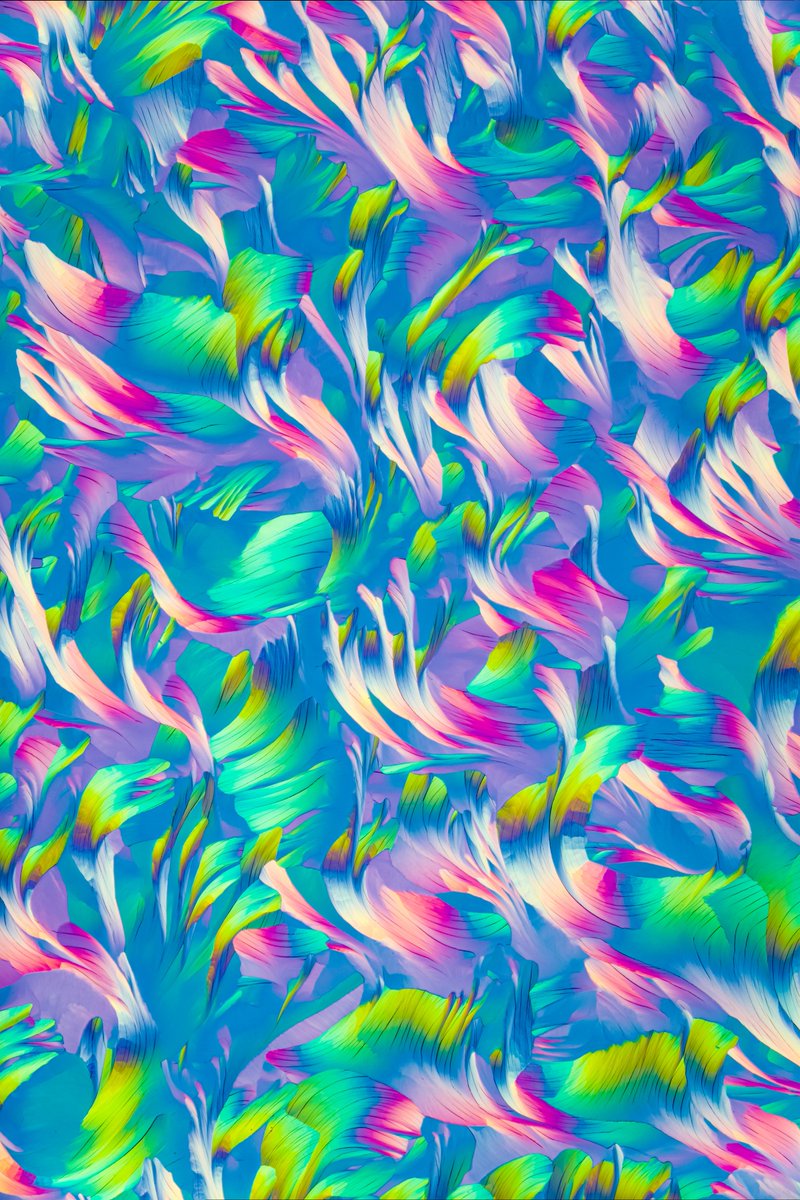 Evident_LS's tweet image. Hundreds of beautiful #microscope images were submitted to this year&apos;s Global Image of the Year Award competition. Here&apos;s a glimpse at a few of the images that received honorable mentions by our panel of jurors.

Click here to see all winning images - olympus-lifescience.com/IOTY