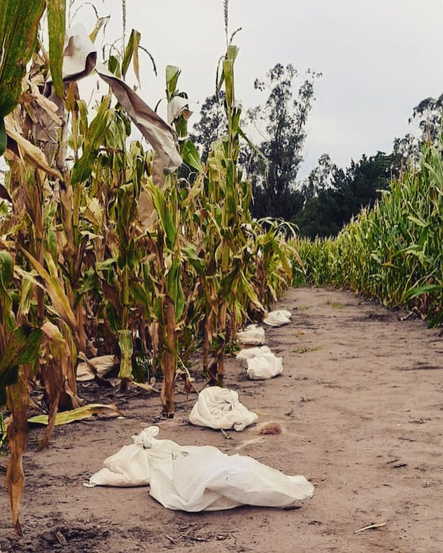 AGRAR DEL SUR tweet media