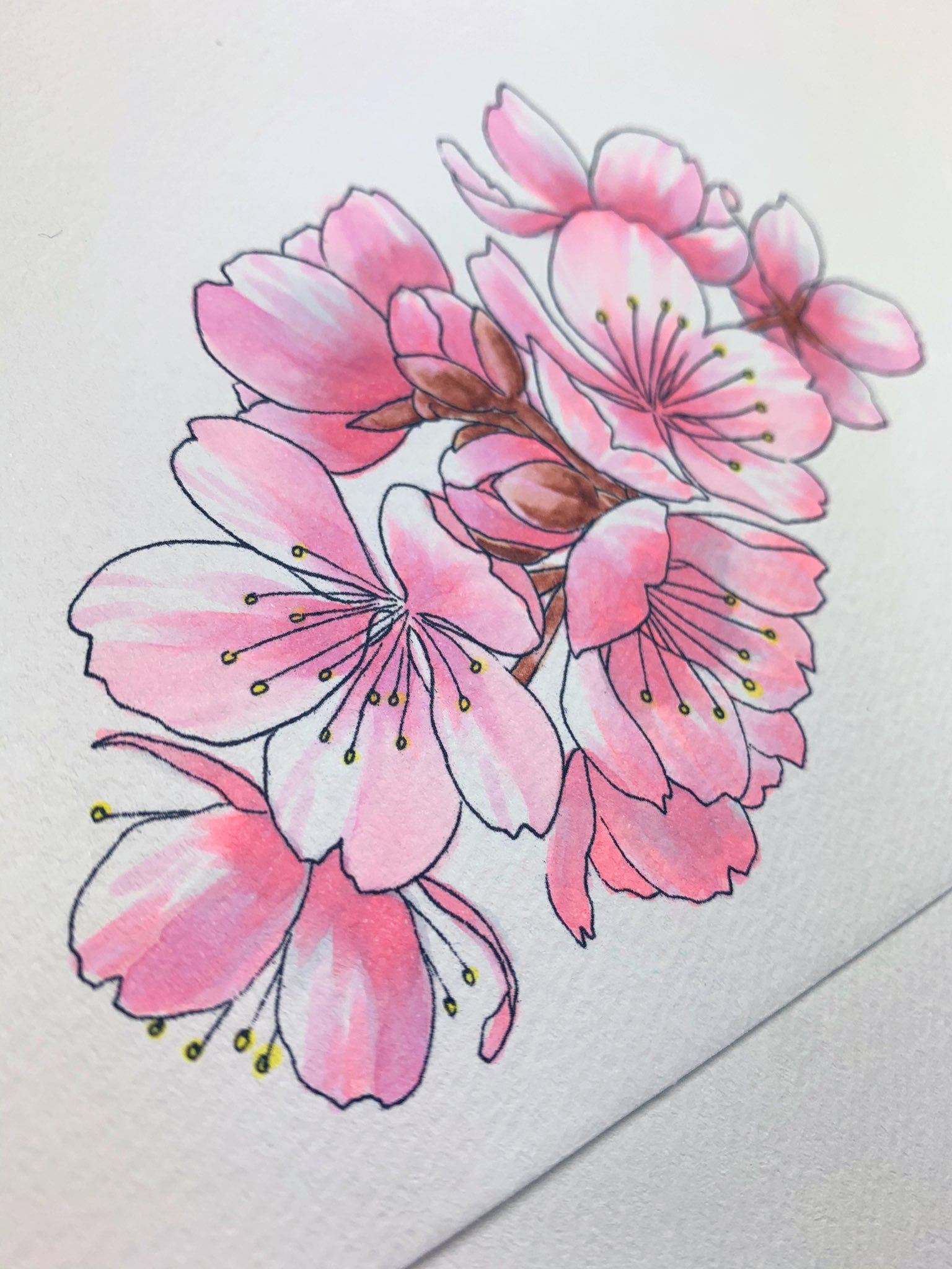 Akiko Copic Artist 4月の塗り絵は桜です 見本制作中 塗り絵 コピック イラスト コピック塗り絵 絵描きさんと繋がりたい 絵描きさんとつながりたい Copic Illust Art T Co Klwigby9vr Twitter
