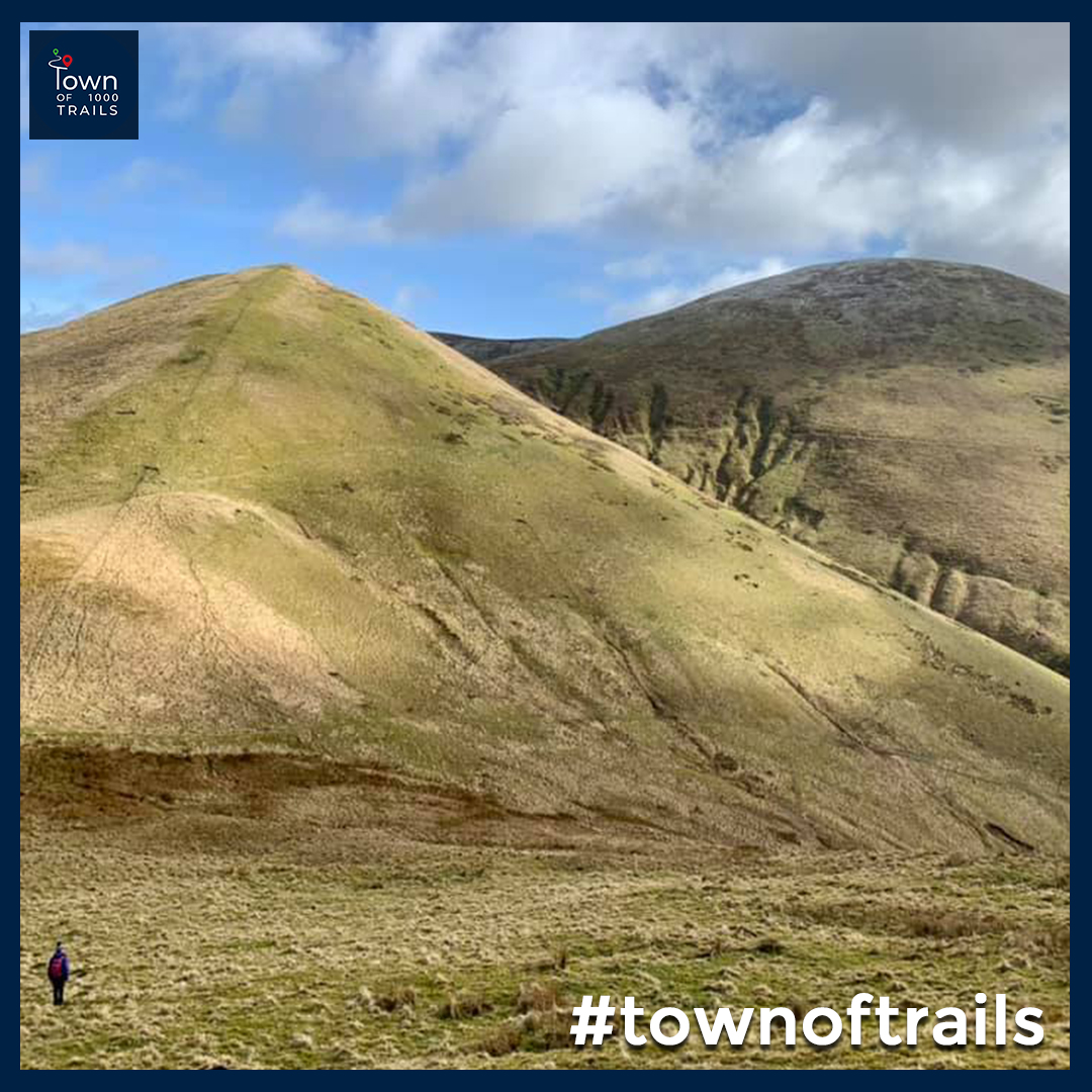 Town of 1000 Trails tweet media