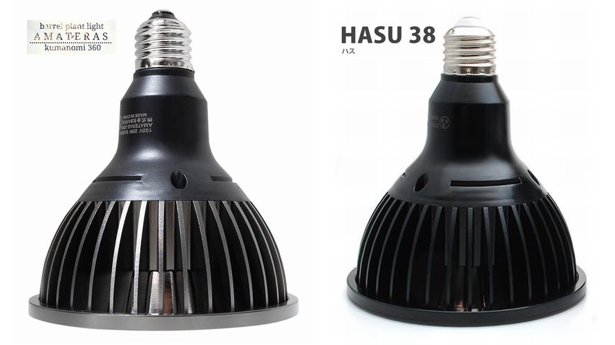 アマテラス 10W \u0026 HASU38 22W