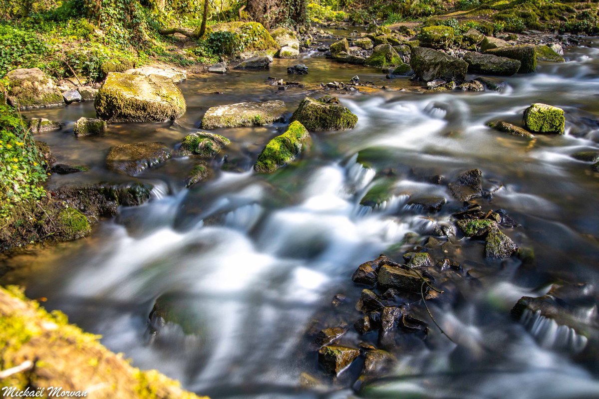 morvan_photo's tweet photo. La Brèche au Diable à Soumont-Saint-Quentin. Épisode 3 📸 #calvados #bassenormandie #suissenormande #poselongue #normandie #normandietourisme #printemps2021 #lelaizon #labrecheaudiable #soumontsaintquentin #soumontstquentin #potigny #cascade #rivière https://t.co/z9zwRih0Eg