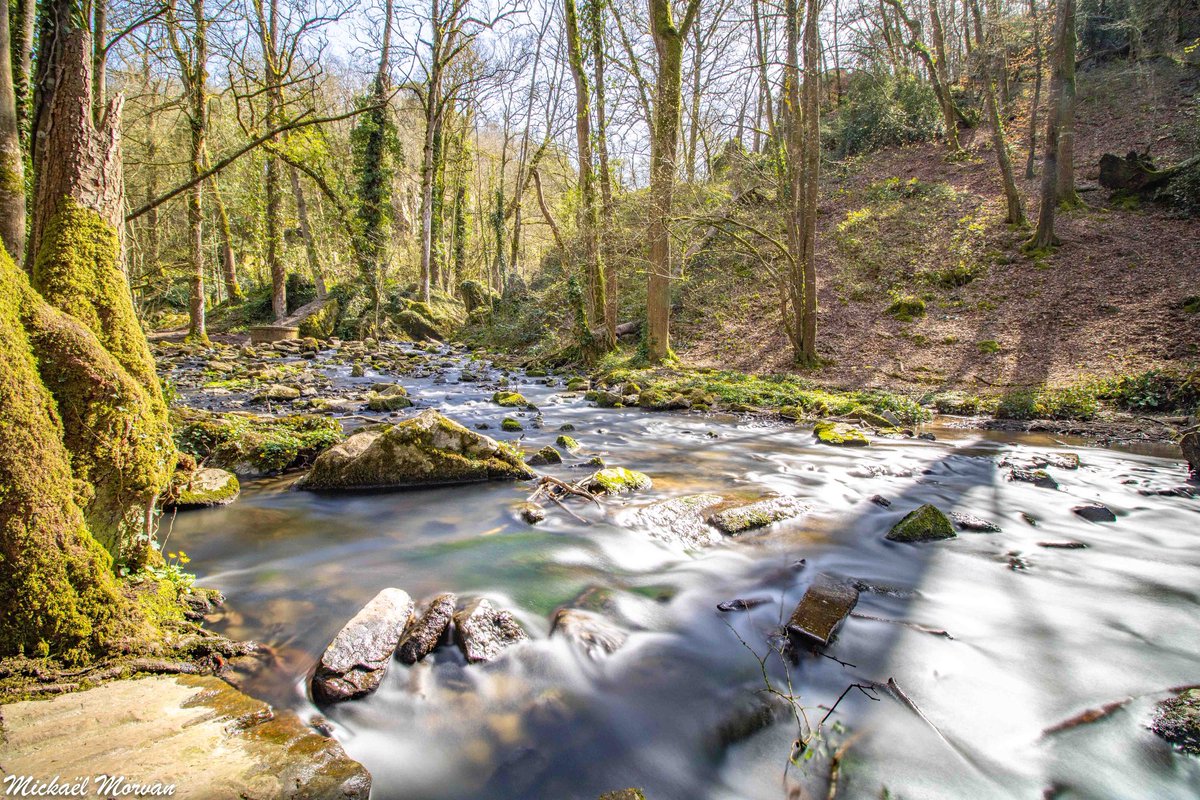 morvan_photo's tweet photo. La Brèche au Diable à Soumont-Saint-Quentin. Épisode 3 📸 #calvados #bassenormandie #suissenormande #poselongue #normandie #normandietourisme #printemps2021 #lelaizon #labrecheaudiable #soumontsaintquentin #soumontstquentin #potigny #cascade #rivière https://t.co/z9zwRih0Eg