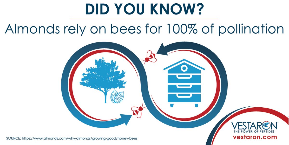 Vestaron Crop Protection (@vestaroncp) on Twitter photo Vestaron is a #BeeFriendlyFarming Partner (BFF), supporting the work of <a href="/Pollinators/">Pollinator Partnership</a> in empowering farmers to help protect, preserve and promote bee health. Every sign-up referred by Vestaron helps grow contributions to Bee Friendly Farming.vestaron.com/beefriendly/ Vestaron is a #BeeFriendlyFarming Partner (BFF), supporting the work of <a href="/Pollinators/">Pollinator Partnership</a> in empowering farmers to help protect, preserve and promote bee health. Every sign-up referred by Vestaron helps grow contributions to Bee Friendly Farming.vestaron.com/beefriendly/