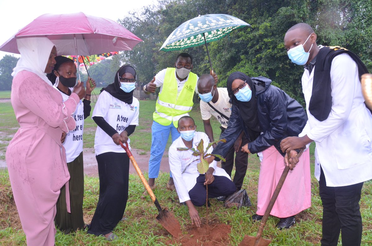 mytreeUganda's tweet image. Part of our team was greatly honoured to interact with the Country Representative of @UNICEFUganda at the tree planting launch of the #Trees4Heroes campaign.

Thankyou so much Dr. @Munir_Safieldin for being a frontline hero in the fight against COVID-19.

#ATree4EveryHeroe🌴🌱🌳