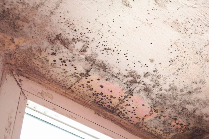 Humexpert's tweet image. ¿Sabías que las #HumedadesPorCondensación en el hogar se pueden identificar fácilmente? Este tipo de #humedades acostumbran a ir acompañadas de mohos y de malos olores 🤭.

Descubre en este artículo las diferentes causas por las que se pueden producir 👉 bit.ly/3cSWSmq.