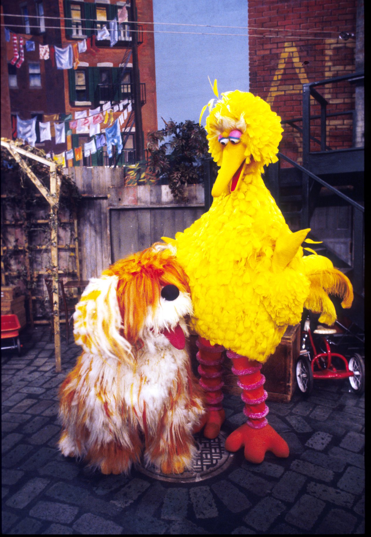 セサミストリート公式 セサミストリートのみんなに愛されているペット バークレー 愛嬌いっぱいの犬です 特にビッグバードとは たくさんの時間を一緒に過ごします ペットの日 ビッグバード バークレー T Co P5fpgxnt5w Twitter
