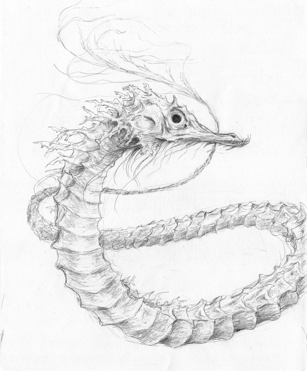 a sea critter #art #ArtistOnTwitter