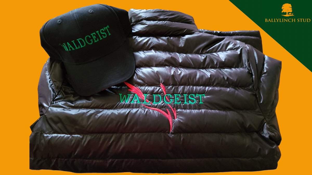🤩WIN WALDGEIST Merchandise🤩

To celebrate <a href="/BallylinchStud/">BallylinchStud</a> Classic Trials Day, we are giving away an exclusive WALDGEIST 🐎 Cap and Jacket!🧢🧥💫 

To Enter
1️⃣Follow <a href="/BallylinchStud/">BallylinchStud</a> on Twitter
2️⃣Like this Post
3️⃣Retweet this Post 

Best Of Luck🤩🐎👏🏻

#BallylinchClassicTrialsDay