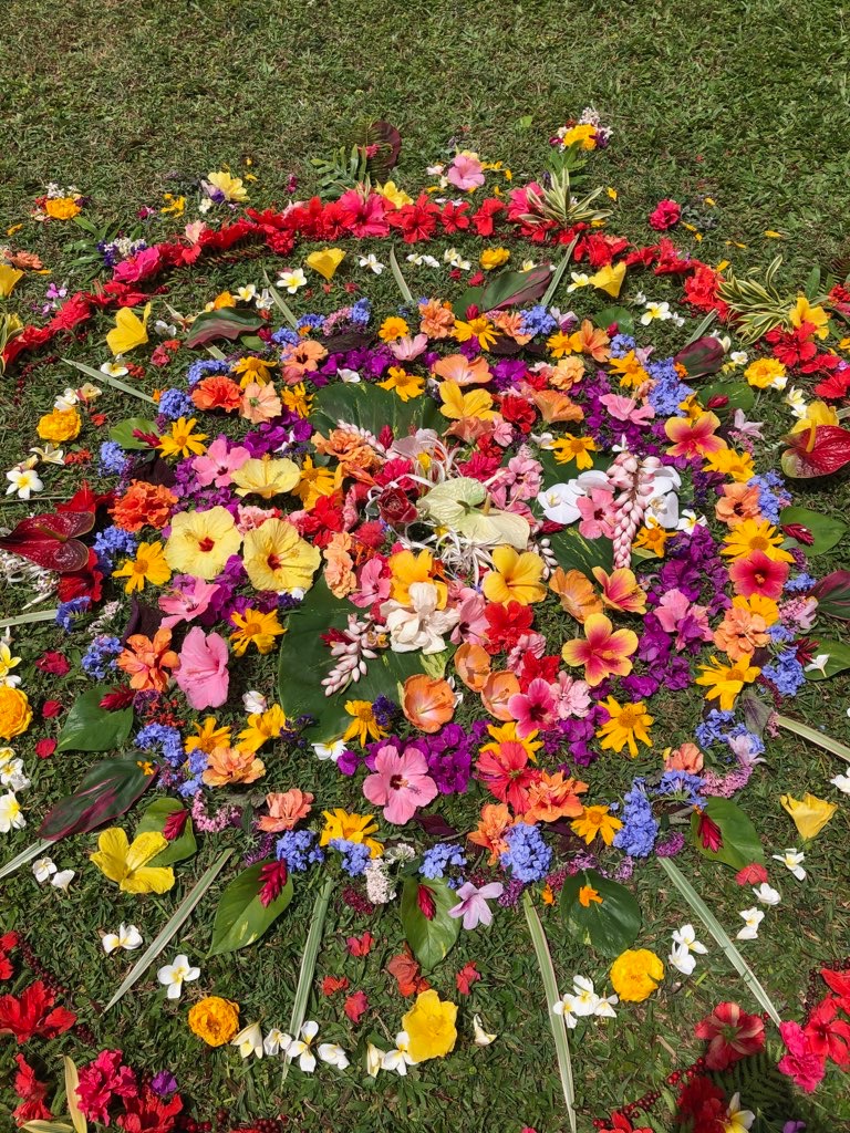 PriorBeyond's tweet photo. Here Jac sits by a Hawaiian fresh flower mandala! Its beauty radiates love wherever it wants to go. 🌺💖🌸
#Hawaii #beauty #Love https://t.co/hQeoEmxizd