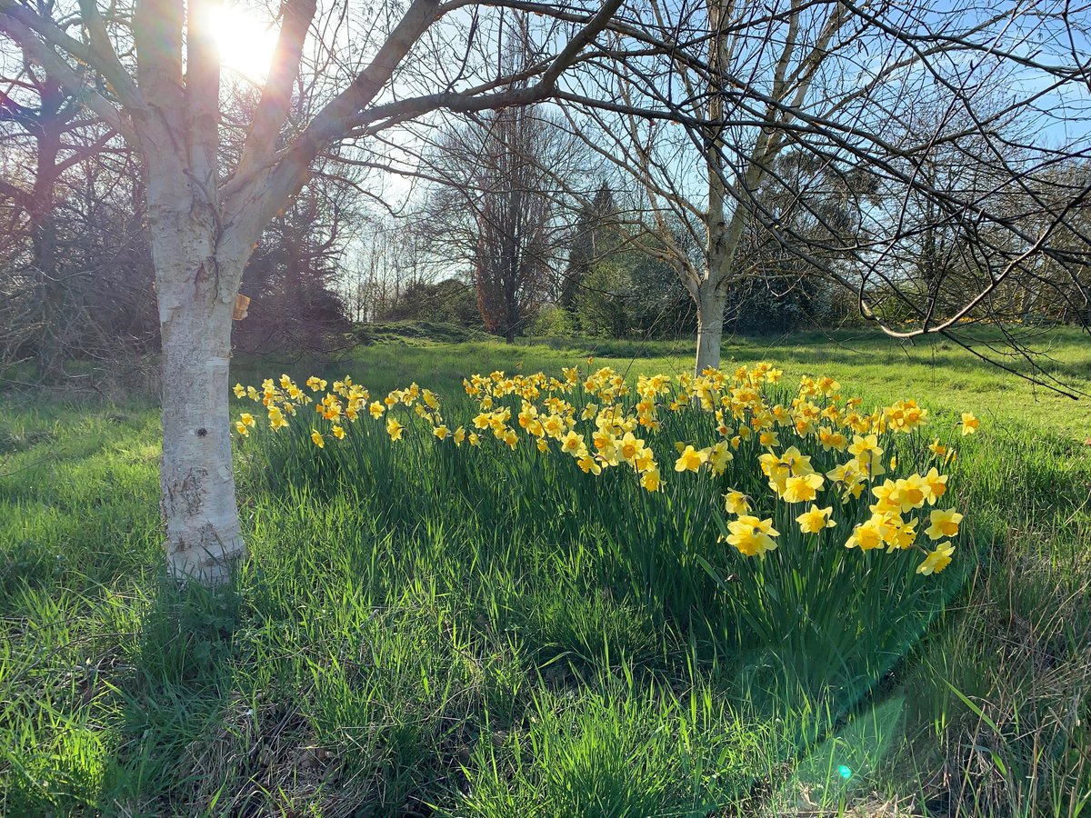 Days to savour - the crispness of spring sunshine in the meadow