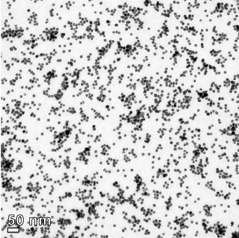 NanoScientifica Scandinavia tweet media