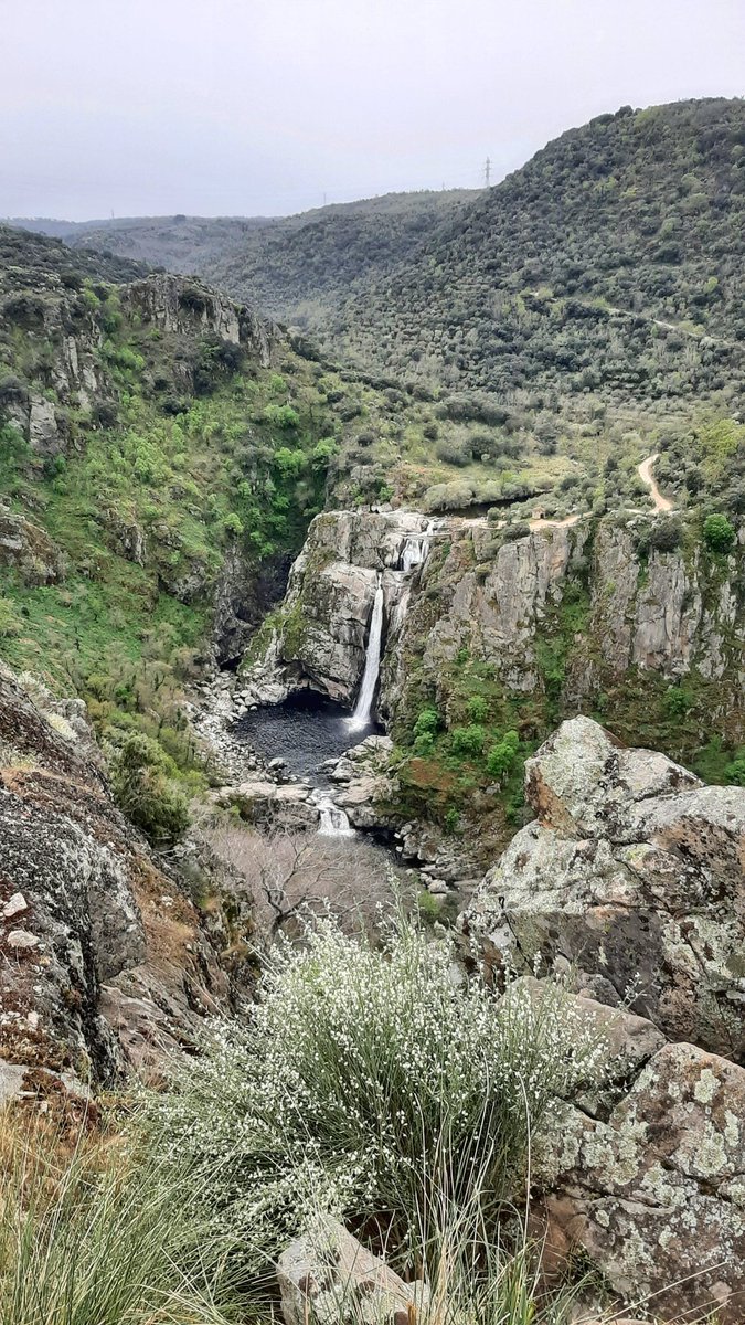 unblogdepalo's tweet photo. Hemos estado un poquito desconectados de redes en general... pero estábamos disfrutando del aire libre... en sitios preciosos
#Toro #zamora #Salamanca #ArribesDelDuero #LosArribes
#PozodelosHumos https://t.co/owgSRzWFkl