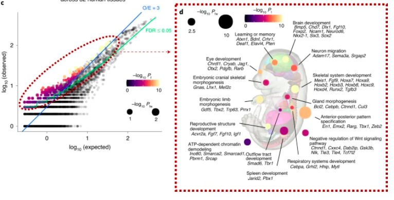 Nature Genetics tweet media