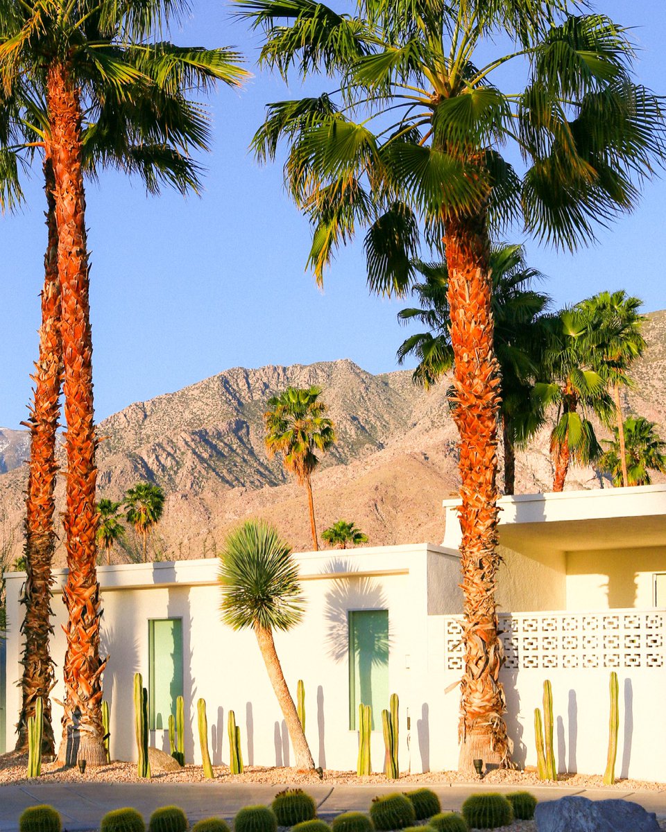 explorestrada's tweet photo. Morning glow #palmsprings https://t.co/oU7uek05QA