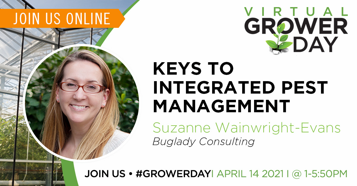 GrowOpportunity's tweet photo. Virtual #GrowerDay is a week away! You won't want to miss the opportunity to network with the best of the best in the #cannabis industry. 
Register FREE: https://t.co/HLCQlNPuTt #Canadiancannabis #cannabisindustry #cannabisbusiness #cultivation #cannabisgrowers #legalcannabis https://t.co/3v2aSQWzta