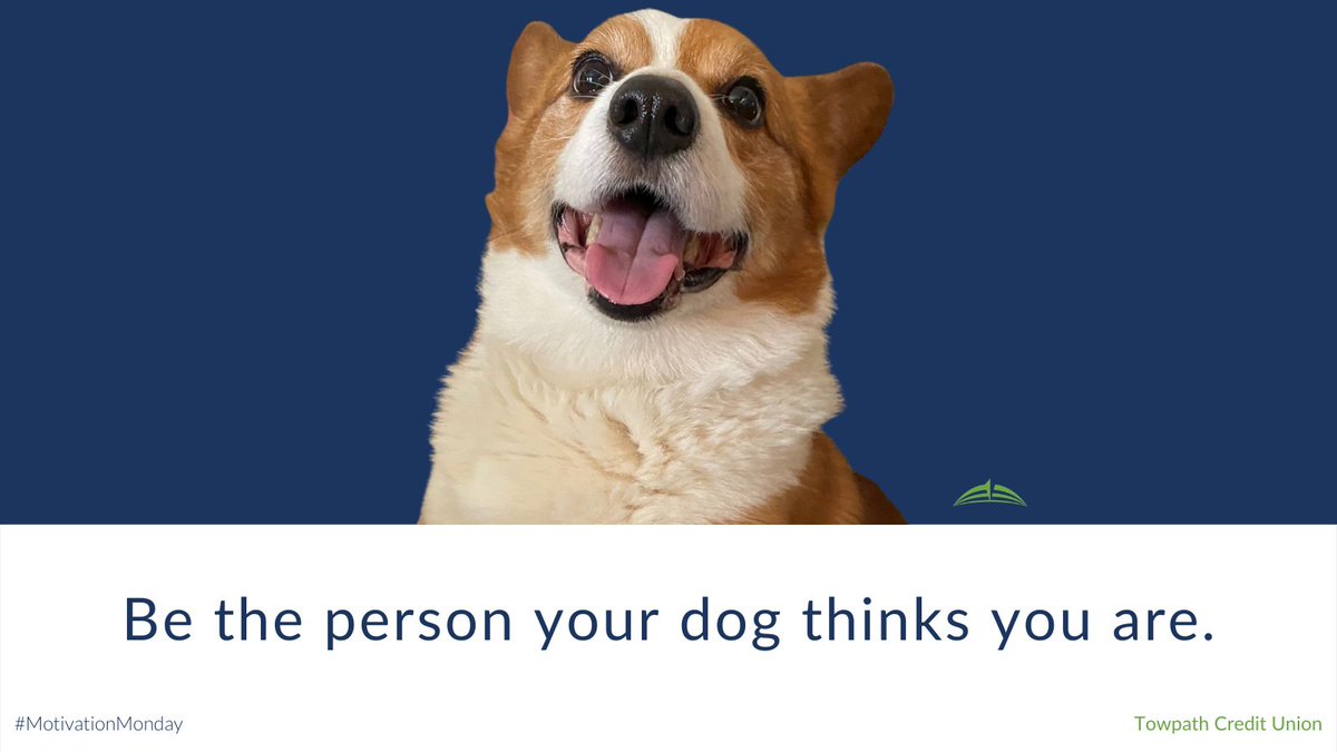 Does your dog motivate you to be a better person? Show us your sweet pups in the replies 👇 #WeAreTowpathCU #MotivationMonday