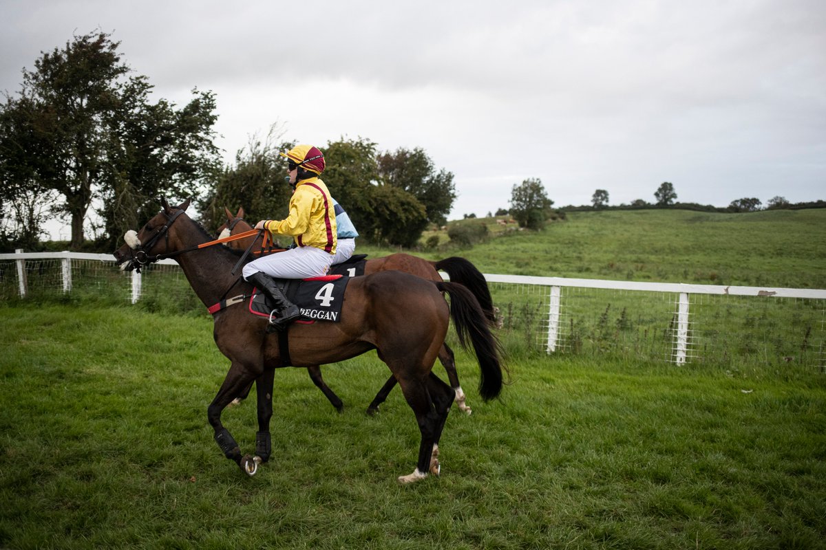 RacingPost tweet picture