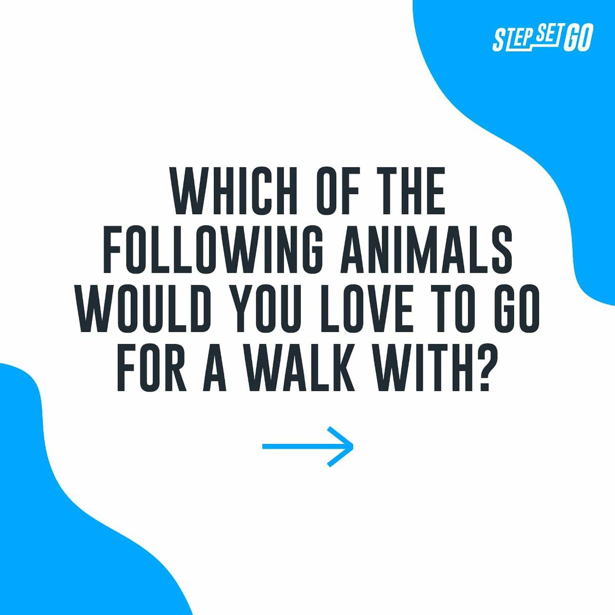 StepSetGo's tweet photo. Which one are you gonna choose?😏
Comment below and let us know!🤭
.
.
.
#StepSetGo #SSG #SSGCoins #StepsTracker #Steps #Track #Walk #Walking #Fitness #Happiness #Happy #Dog #Cat #BestFriend #Friend https://t.co/BhlYIdjRoM