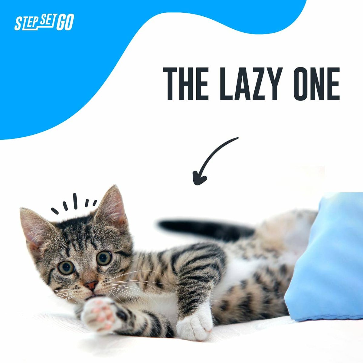 StepSetGo's tweet photo. Which one are you gonna choose?😏
Comment below and let us know!🤭
.
.
.
#StepSetGo #SSG #SSGCoins #StepsTracker #Steps #Track #Walk #Walking #Fitness #Happiness #Happy #Dog #Cat #BestFriend #Friend https://t.co/BhlYIdjRoM