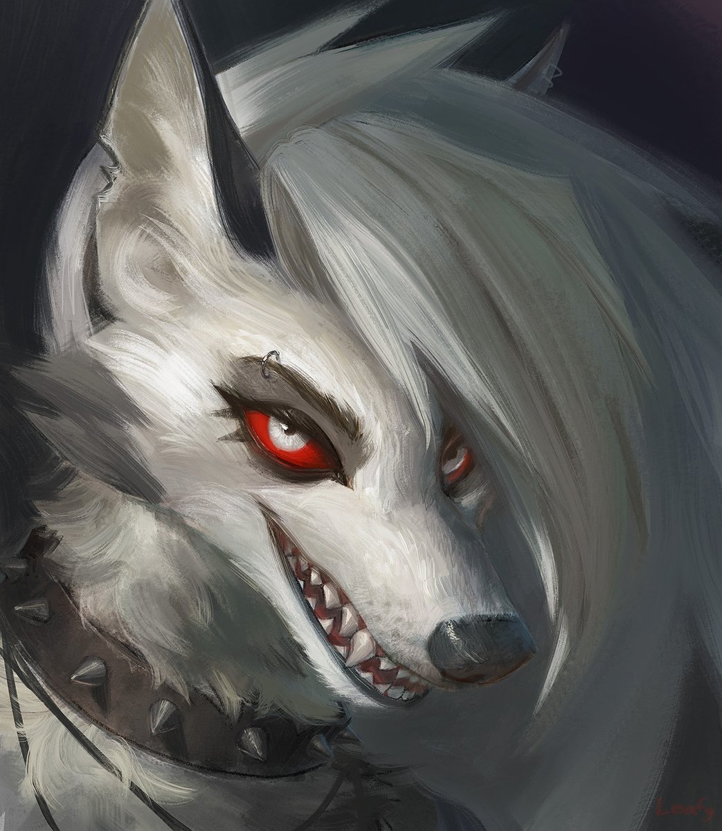 Loafy (@loafyfloff) on Twitter photo 