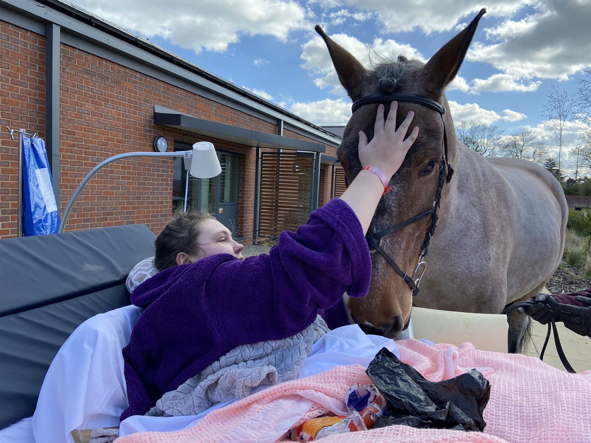 Eddie is my heart horse - I’ve known her since she was 3 (she’s now 18) & used to ride her before my illness stopped me riding 13 yrs ago. A real gentle giant, nothing phases her. Her visit was just what I needed ❤️#HospiceCare #PalliativeCare #ThisIsHospiceCare #WhatMattersToMe