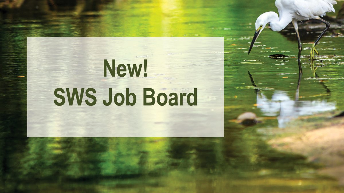 SWS_org's tweet photo. We have received many requests for a Job Board on the new SWS website, and we're excited to announce that SWS members can now post opportunities on our Careers page, found under the Resources tab: https://t.co/LVP2dP4g5D 
#SWS #SocietyofWetlandScientists #Wetlands #WetlandScience https://t.co/3kVKPFWn73