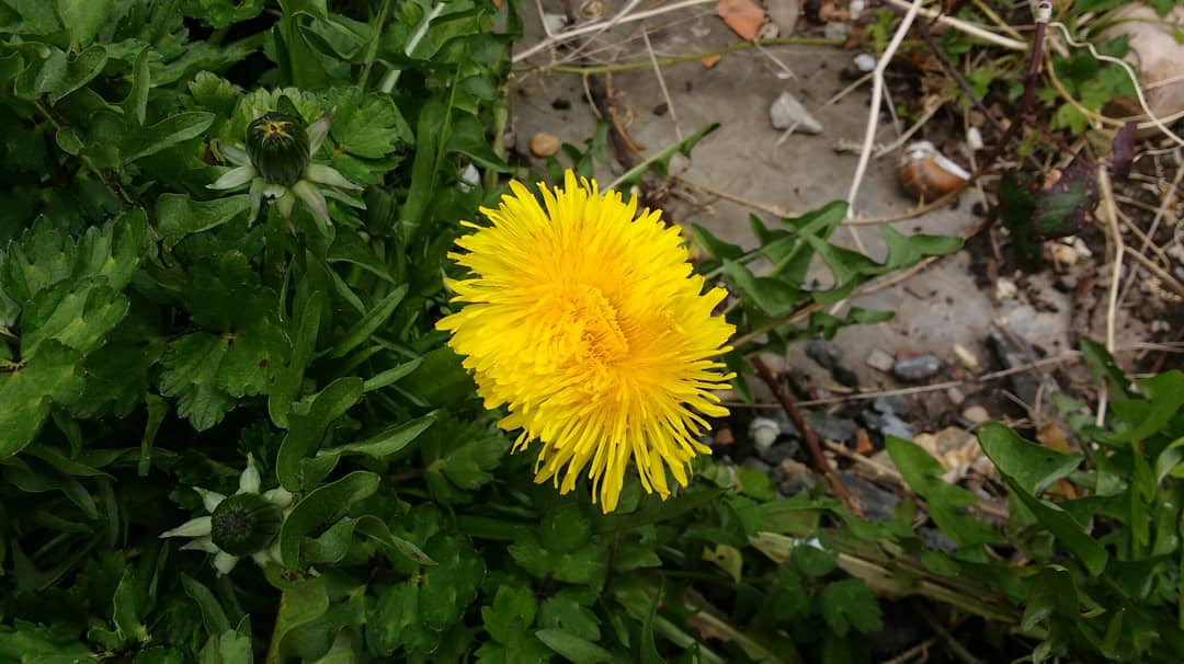 Beth Foot Forward tweet media