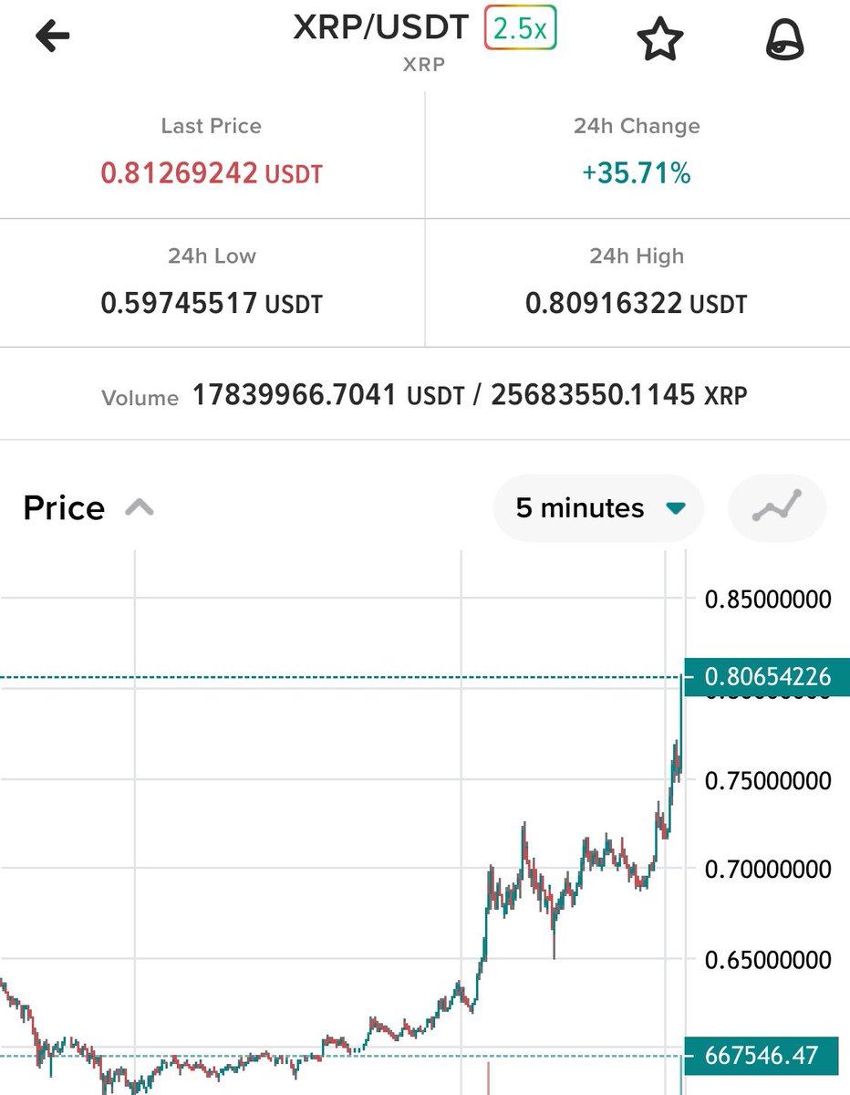 🌸Eri ~ Carpe Diem tweet media