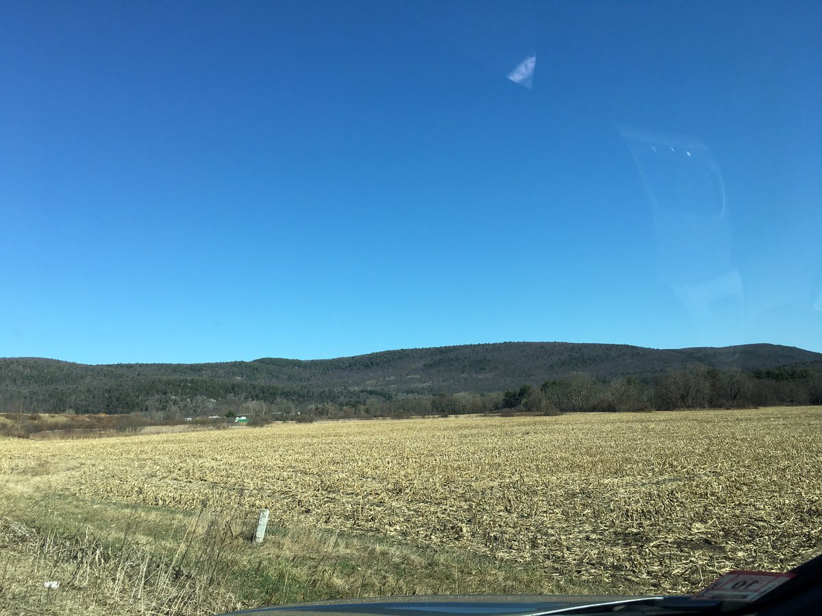 The Voice of Erotica® tweet media