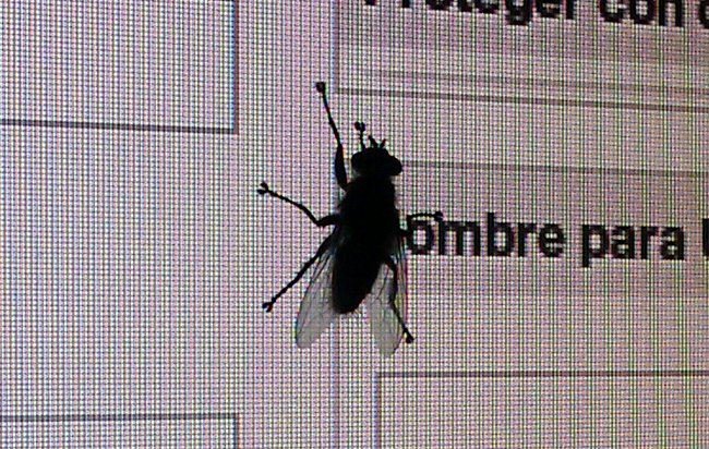 JM_VelascoG's tweet image. La comunicación, como vacuna contra los cinco virus que amenazan a la democracia. fabulasdecomunicacion.es/2020/07/25/la-…