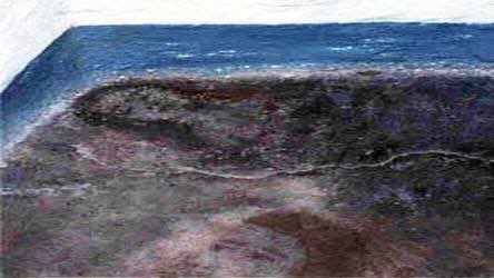 แปลกแล้วก็น่ากลัวอะเรื่องนี้ มีป้าคนนึงสังเกตเห็นว่าพื้นบ้านมีรอยเปื้อนแปลกๆ มองไปมองมาก็ดูเหมือนหน้าคน ป้าไม่สบายใจเลยพยายามขัดลบเอารอยหน้าคนออก แต่รอยก็ไม่หายไป แถมมีจำนวนมากขึ้นอีก แต่ก็เพราะรอยหน้าพวกนี้เลยทำให้ป้าได้รู้เรื่องน่ากลัวที่ซ่อนไว้อยู่ใต้บ้านตัวเอง (ต่อในเมนชั่น)