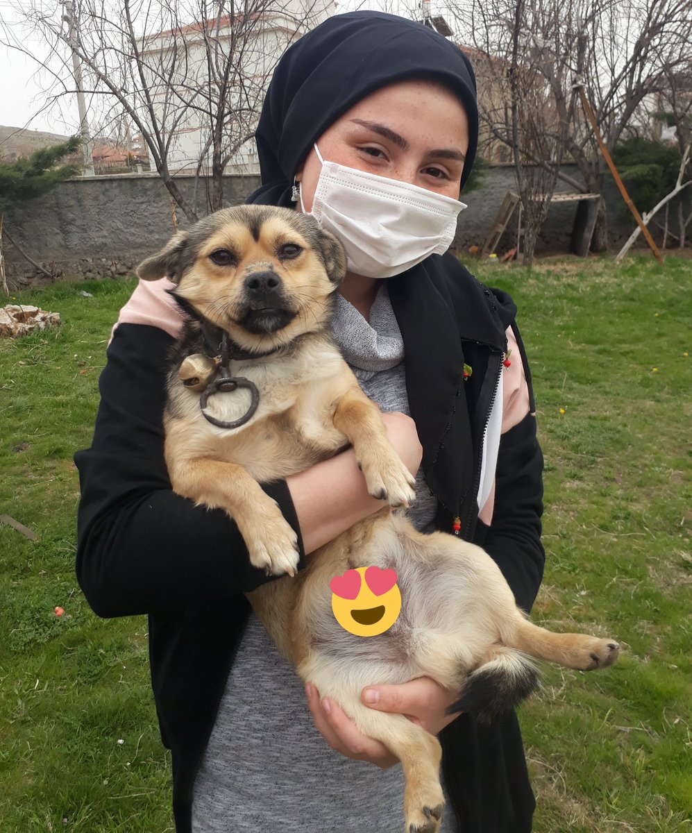 Hayvanları sevelim onları  koruyalım çünkü onlar bizim en sadık dostumuz...