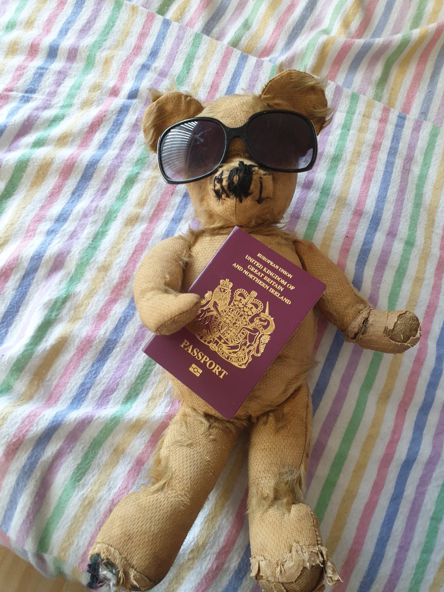 rickjleach's tweet photo. Wishful thinking from Ted - hoping for good news on the holiday front next week!!! 🌞🤞😎🧸✈💼xxx https://t.co/9GArE8PD0C
