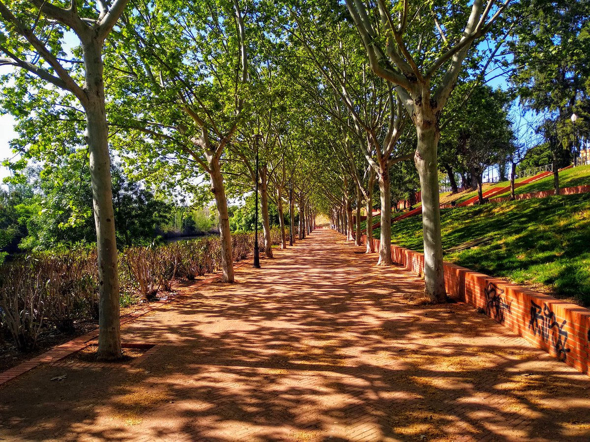 JAReinaGonzalez's tweet photo. Mérida. 😍 https://t.co/0Q7fxO60mM