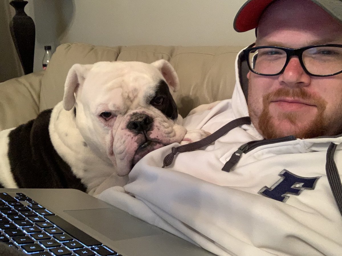 No one loves work-from-home days more than dogs
