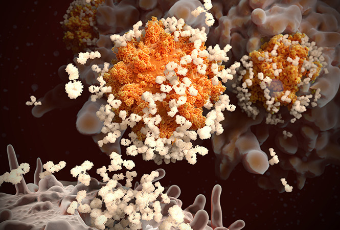 Cell Press (@cellpressnews) on Twitter photo Race against #SARS-CoV-2: vaccines, variants, and beyond w/ Marion Pepper <a href="/UW/">University of Washington</a> @PepperMarion, David Martinez <a href="/UNC/">UNC-Chapel Hill</a> @David_RMartinez, and Bette Korber <a href="/LosAlamosNatLab/">Los Alamos National Laboratory</a> April 29 at 12 pm ET register for free. #CPWebinars hubs.ly/H0Kvbbx0 Race against #SARS-CoV-2: vaccines, variants, and beyond w/ Marion Pepper <a href="/UW/">University of Washington</a> @PepperMarion, David Martinez <a href="/UNC/">UNC-Chapel Hill</a> @David_RMartinez, and Bette Korber <a href="/LosAlamosNatLab/">Los Alamos National Laboratory</a> April 29 at 12 pm ET register for free. #CPWebinars hubs.ly/H0Kvbbx0