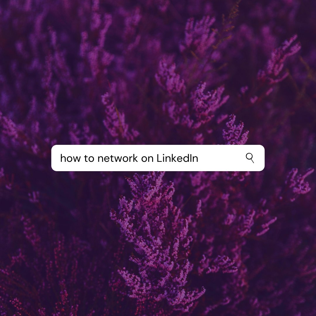 CFVANash's tweet photo. If you're stumped on how to network on LinkedIn, I'll share a tip on how I like to approach it:⁠
⁠
Be friendly. Be helpful. Do favors.⁠
⁠
That's it.  There's no real secret. https://t.co/kgqvCcufpK