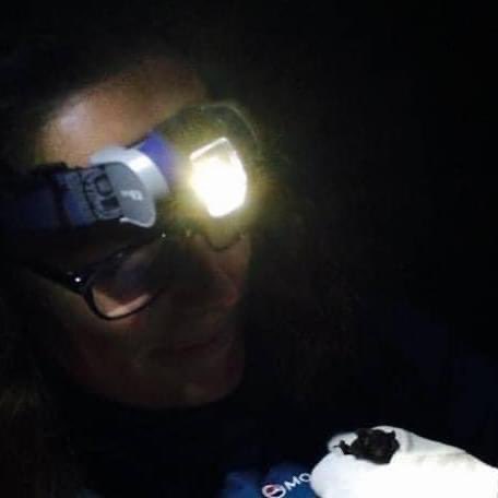 KayleighFawcett's tweet photo. Some of the reasons I do what I do...
🦇 I love wildlife.
🌟 I also have an inherent desire to make things better.
📖 I love to learn & to push the boundaries of what I can do.
Why do YOU do what you do?
#wildlifework #phdadventures #wildlifeadventures https://t.co/TVyQKQ7qXw