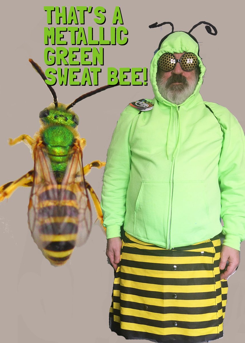 stkateBIO's tweet image. Happy to share that @StKates, BioClub &amp;amp; @CSJstpaul
have partnered with @GRC_MN for their 2021 Bee Run 5K. 

Watch the promo video here.  youtu.be/EoOPz6JagLk via @YouTube 
Register here. register.chronotrack.com/r/60469 
Get costume ideas here.sites.google.com/stkate.edu/ear…

#stkatesearthweek