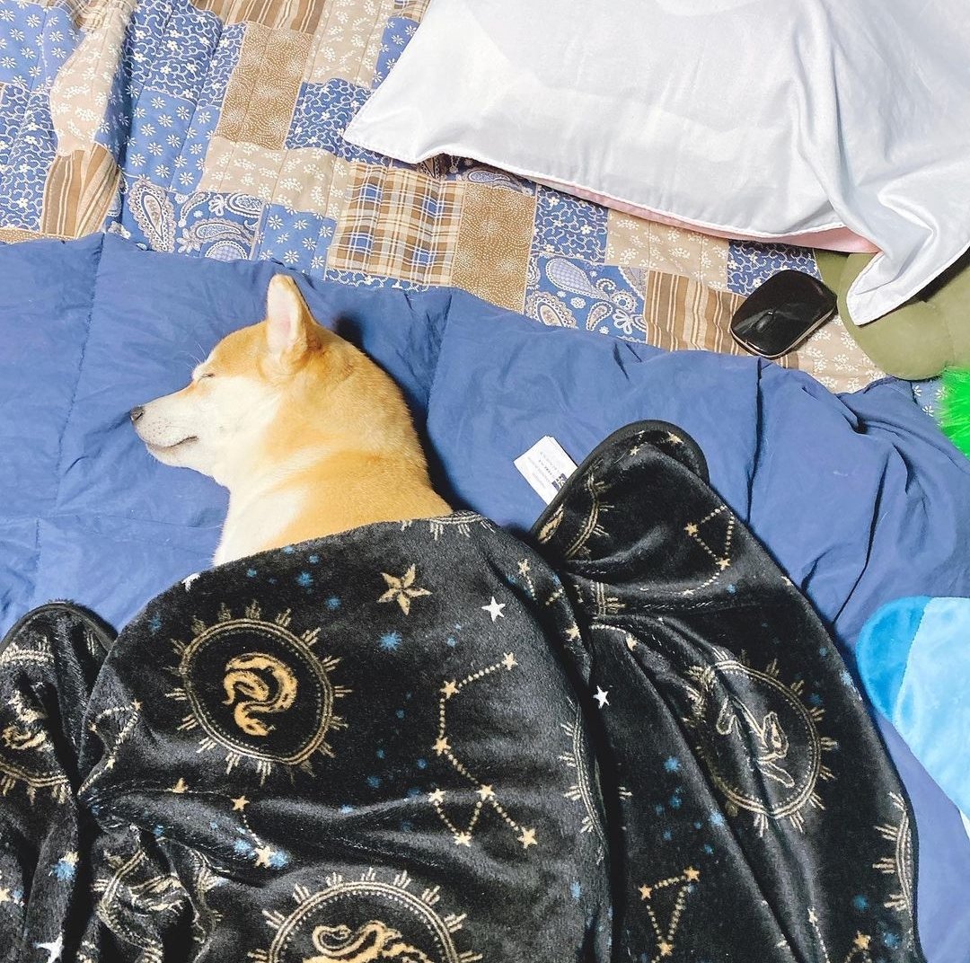 NFlyingperu_'s tweet photo. 📷「 INSTAGRAM #Jaehyun | 210406 」

_.kimjaehyun._: Deokbae 🐾
#NFlying #KimJaehyun #.Hija #KimDeokbae #.EseEs #.Mi #.Lugar #Deokbae #.Papá #.NecesitaDormir

[@NFlyingofficial #엔플라잉 #エヌフライング #NFia] https://t.co/1raZTXCVF9