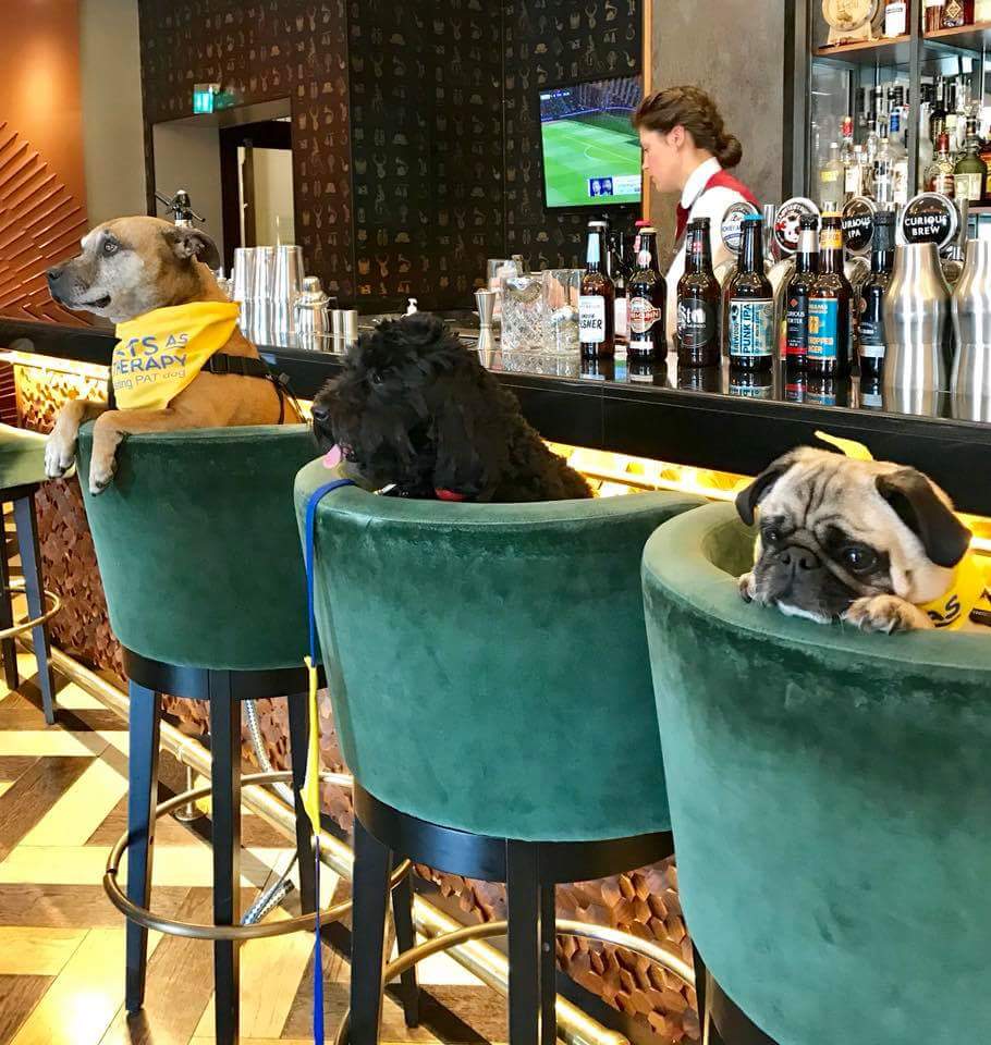 Buster Luv tweet media