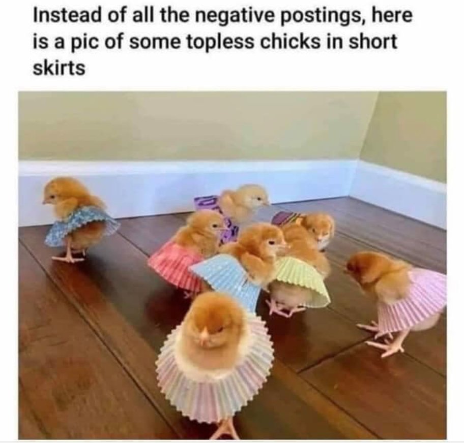 Monday funnies: a pic of topless chicks in short skirts.