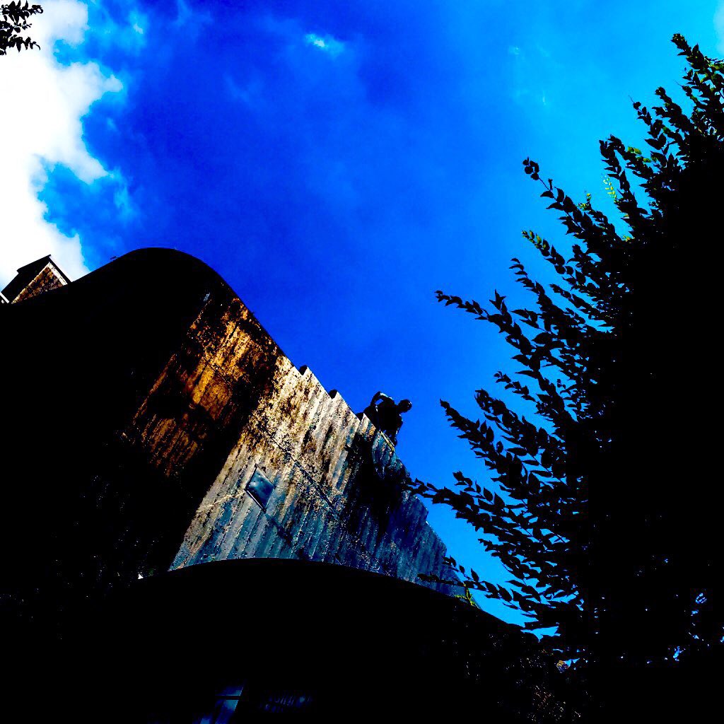 の ようなもの のようなもの 最新情報まとめ みんなの評価 レビューが見れる ナウティスモーション 5ページ目