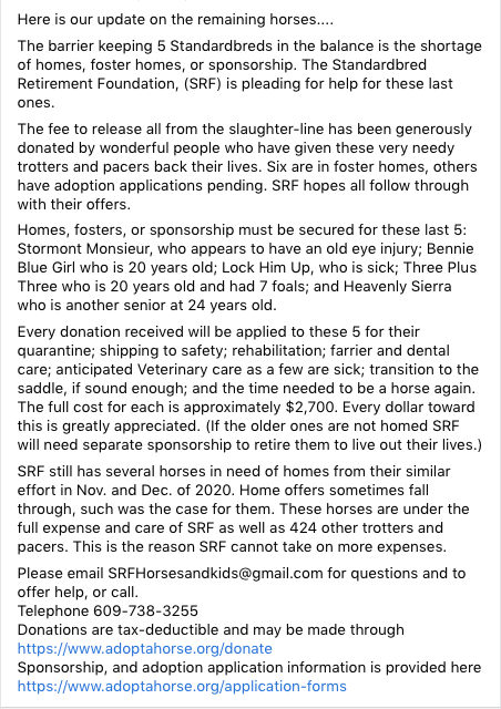 SRFHorses's tweet photo. Update on the remaining horses.... https://t.co/AgeNA4DiIR