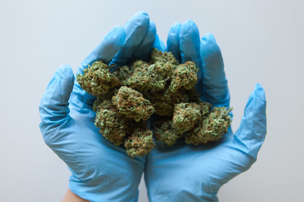 Herbn Elements (@herbnelements) on Twitter photo Celebrate your favorite month w/ <a href="/BondiFarms/">Bondi Farms</a>...link in bio for April specials ๐ #Happy420 Celebrate your favorite month w/ <a href="/BondiFarms/">Bondi Farms</a>...link in bio for April specials ๐ #Happy420